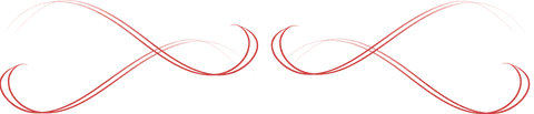 Red Curved Decorative Divider on Transparent Background - Download Free Stock Videos Pikwizard.com