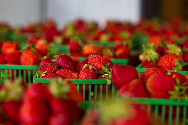 Strawberries strawberry fruits  - Download Free Stock Photos Pikwizard.com