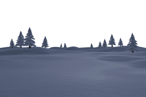 Winter Forest Snow Scene with Transparent Background in Daylight - Download Free Stock Videos Pikwizard.com