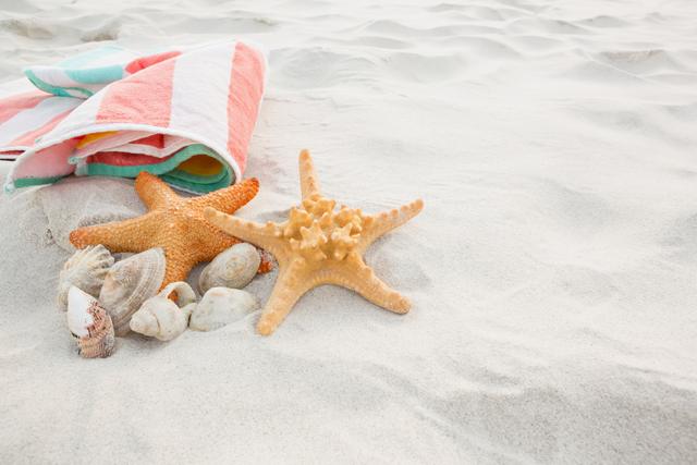 Starfish and various sea shells placed on sandy beach next to a folded beach blanket. Ideal for travel promotions, summer vacation advertisements, coastal and seaside themes, relaxation and leisure, and nature-related content.