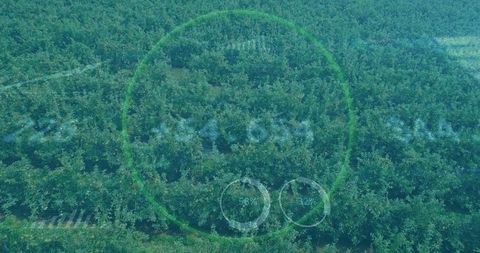 Aerial view of orchard with futuristic data monitoring