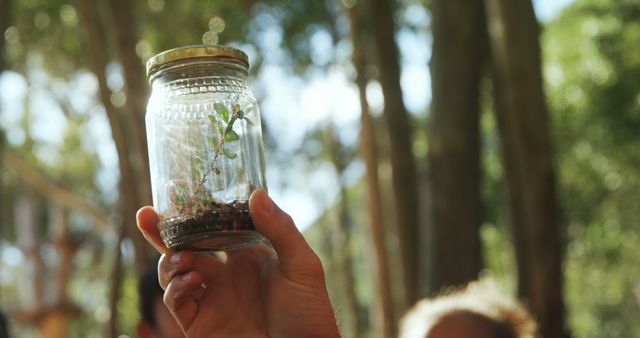 Close-up of a Hand Holding Jar with Seedling in Forest - Download Free Stock Images Pikwizard.com