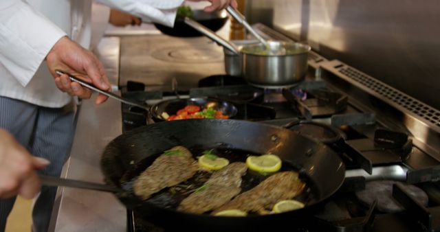 Chefs Cooking Fish Fillets with Lemons in Professional Kitchen - Download Free Stock Images Pikwizard.com