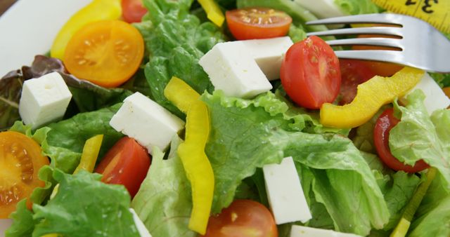 Close up of greek salad with feta cheese, tomatoes and peppers - Download Free Stock Photos Pikwizard.com