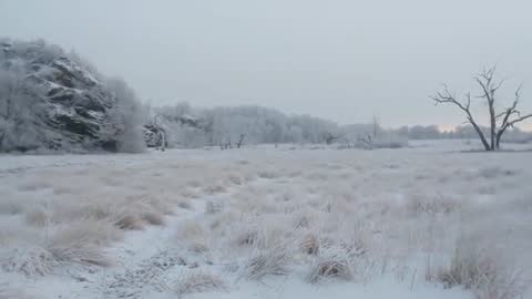 Sunrise Light Creeping Over Frosted Meadow With Tussock Grass, Footpath and Bare Trees