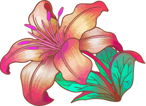 Colorful Lily Floating on Transparent Background Botanical Art