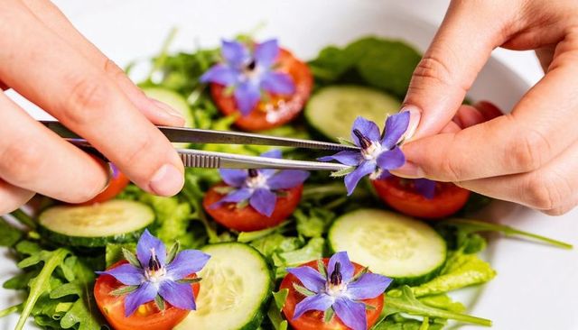 Placing borage flowers on cherry tomato halves for gourmet salad garnish with tweezers