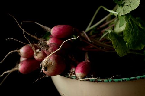 Fresh radishes resting in rustic enamel bowl with dirt roots and green leaves