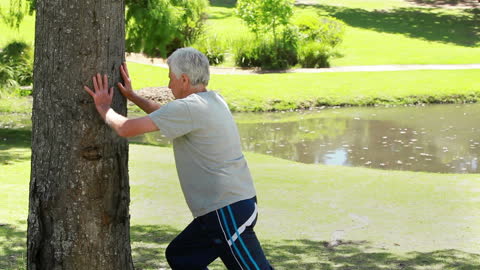 Senior Man Stretching by Tree in Sunny Park