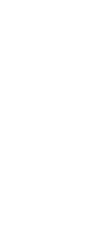 Dynamic silhouettes of basketball athletes on transparent background