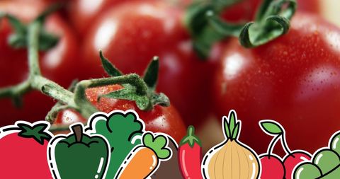 Fresh Red Cherry Tomatoes with Illustrated Vegetable Icons - Download Free Stock Images Pikwizard.com