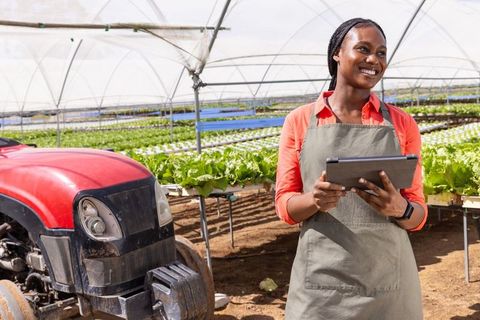Woman with Tablet Inspecting Lettuce in Greenhouse Near Tractor