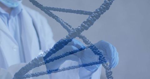 Medical researcher manipulating 3d dna helix while wearing lab coat, mask and blue gloves