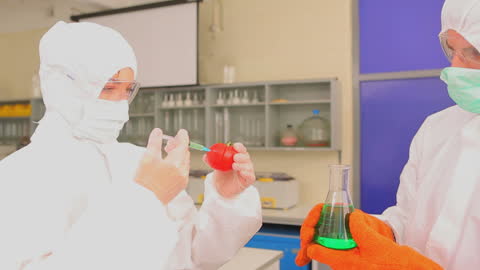 Scientists Experimenting with Tomato in Laboratory