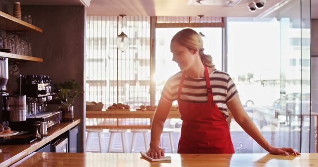 Young female barista wearing red apron wiping down counter in sunlit coffee shop. Could be used for articles or advertisements related to coffee shops, the service industry, cleanliness, and daily routines.