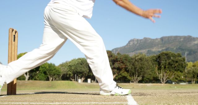 Cricketer Delivering the Ball on Sunny Day - Download Free Stock Images Pikwizard.com