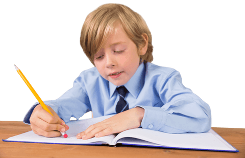 transparent young schoolboy homework illustration - Download Free Stock Videos Pikwizard.com