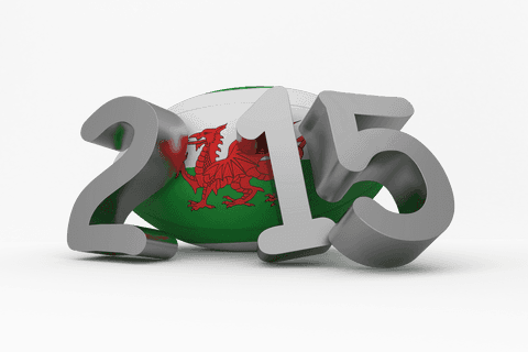 2015 wales rugby souvenir with flag colors depicting victory - Download Free Stock Videos Pikwizard.com