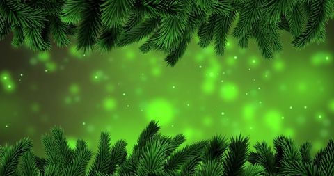 Festive fir tree branches on glowing green background