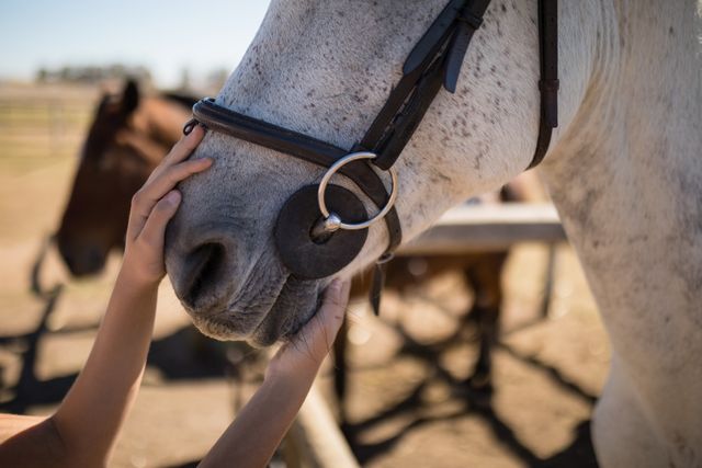 Close-up of a hand gently caressing the mouth of a white horse. This image captures the bond and trust between humans and animals, making it ideal for use in themes related to animal care, equine therapy, petting zoos, and farm life. It can also be used in advertisements or articles promoting animal welfare, outdoor activities, and the importance of human-animal connections.