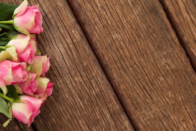 Bunch of pink roses against wooden background