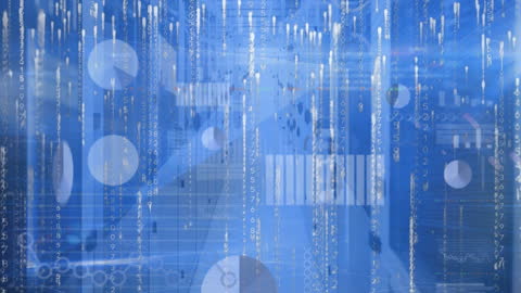 Digital Interface and Data Processing in Server Environment