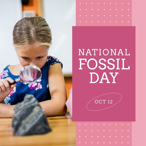 young girl exploring fossils in classroom with magnifying glass - Download Free Stock Templates Pikwizard.com