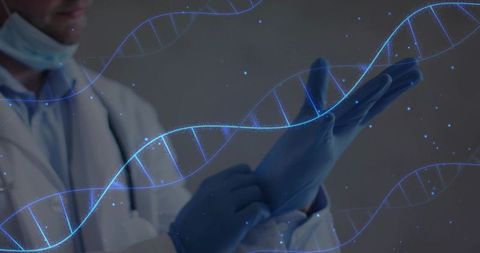 Clinician donning blue gloves with dna hologram overlay highlighting genomics research and ppe