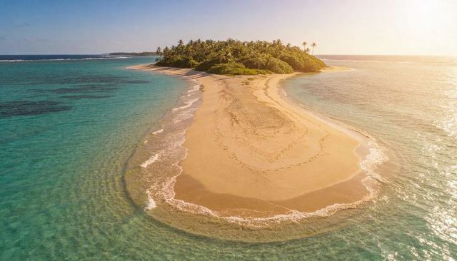 Sunlit sandbar curving to palm-topped islet in turquoise tropical lagoon