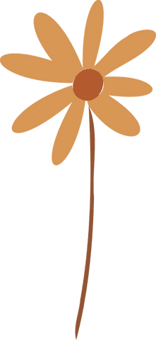 Stylized Orange Daisy on Transparent Background