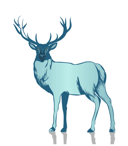 Elegant blue stag illustration on transparent background