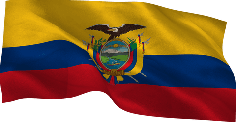 Ecuador Flag Illustration on Transparent Background - Download Free Stock Videos Pikwizard.com