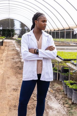African American Botanist Examining Greenhouse Seedlings