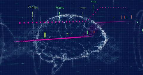 Digital Visualization of Brain Activity with Data Overlay - Download Free Stock Images Pikwizard.com