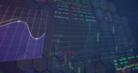 Digital Interface with Data Processing Animation and Charts