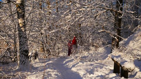Children walking through snow-covered forest trail at golden hour with bench and sunlit trees