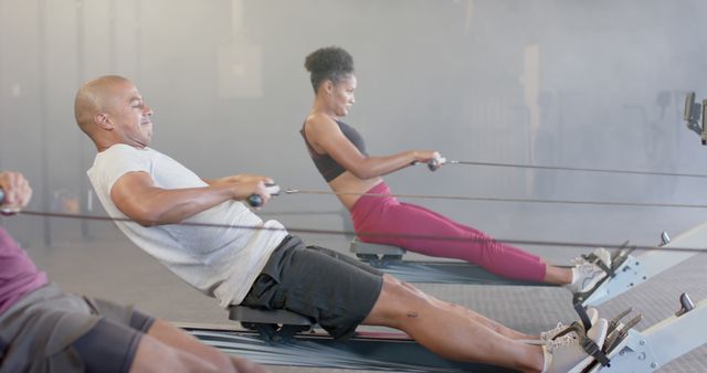 Diverse Group of Athletes Working Out on Rowing Machines - Download Free Stock Images Pikwizard.com