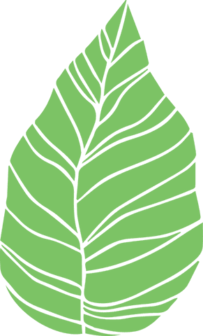 Vibrant Green Leaf Graphic with Transparent Background - Download Free Stock Videos Pikwizard.com