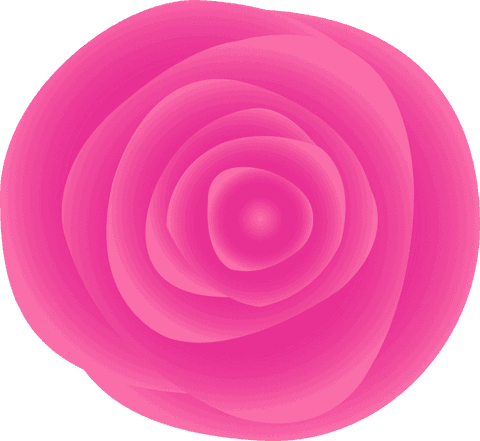 elegant abstract pink rose in fluid minimal design on transparent background - Download Free Stock Videos Pikwizard.com