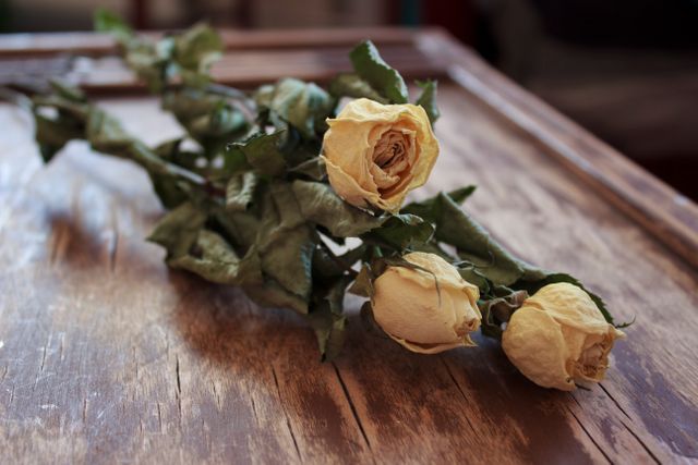 Dried Roses on Wooden Table Evoking Nostalgia and Vintage Charm - Download Free Stock Photos Pikwizard.com