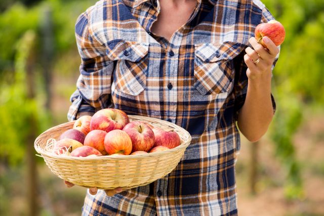 Midsection of woman holding apple basket at vineyard