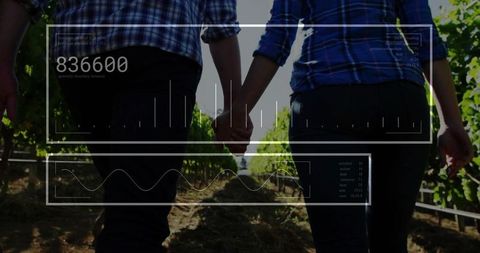 Couple Enjoying a Digital Walk in a Vineyard Harmony