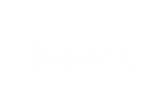 digital network connection lines on transparent background - Download Free Stock Videos Pikwizard.com