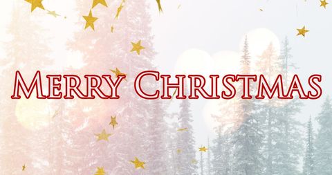 Festive Merry Christmas Greeting with Starry Background