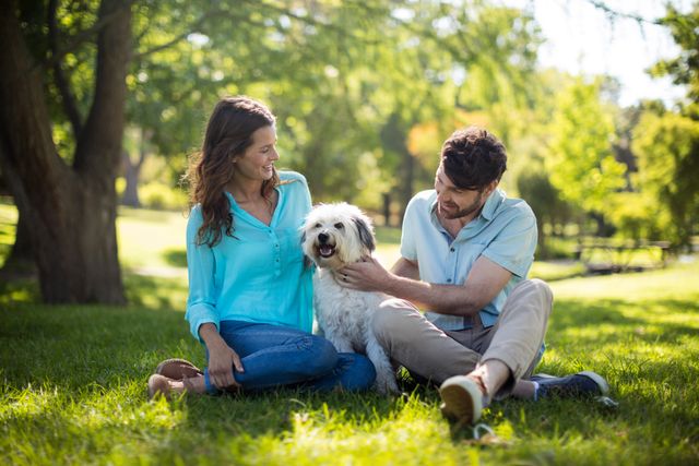 Happy couple with dog in park on sunny a day
