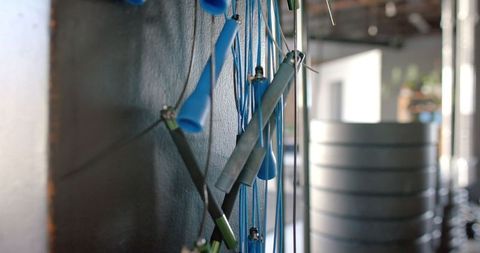 Workout resistance bands hanging neatly on gym wall