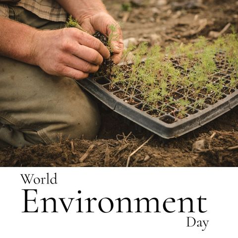 hands planting seedlings for world environment day celebration - Download Free Stock Templates Pikwizard.com