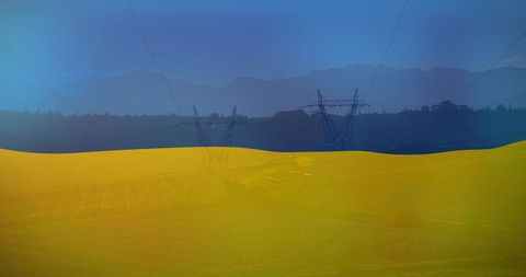 Ukrainian Flag Overlay on Harvest Field with Electricity Poles
