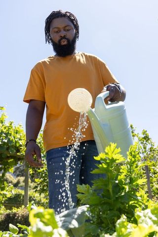 African american gardener watering vegetable garden with green watering can in sunlight