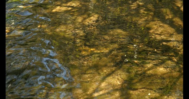 Sunlight dapples the surface of a clear, shallow stream revealing the rocky bed beneath, with copy space. The interplay of light and water creates a tranquil natural pattern, ideal for themes of nature and serenity.